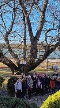 IMG_20260304_141213939_HDR