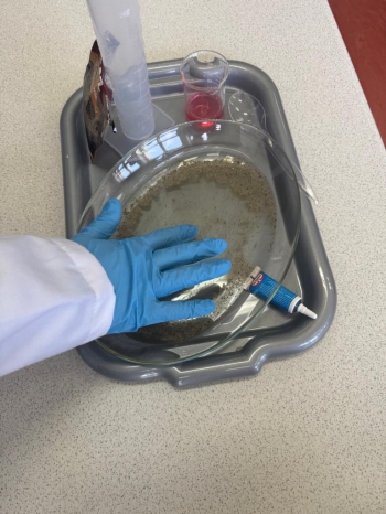 19